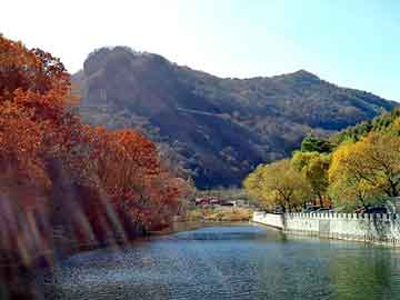 澳门天天彩期期精准平肖，南山装饰公司